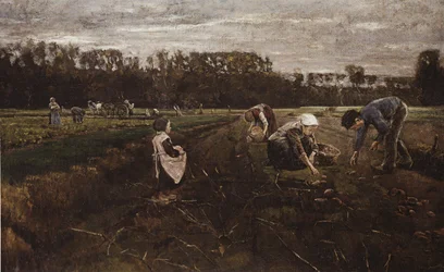 Colheita de batata de Barbizon